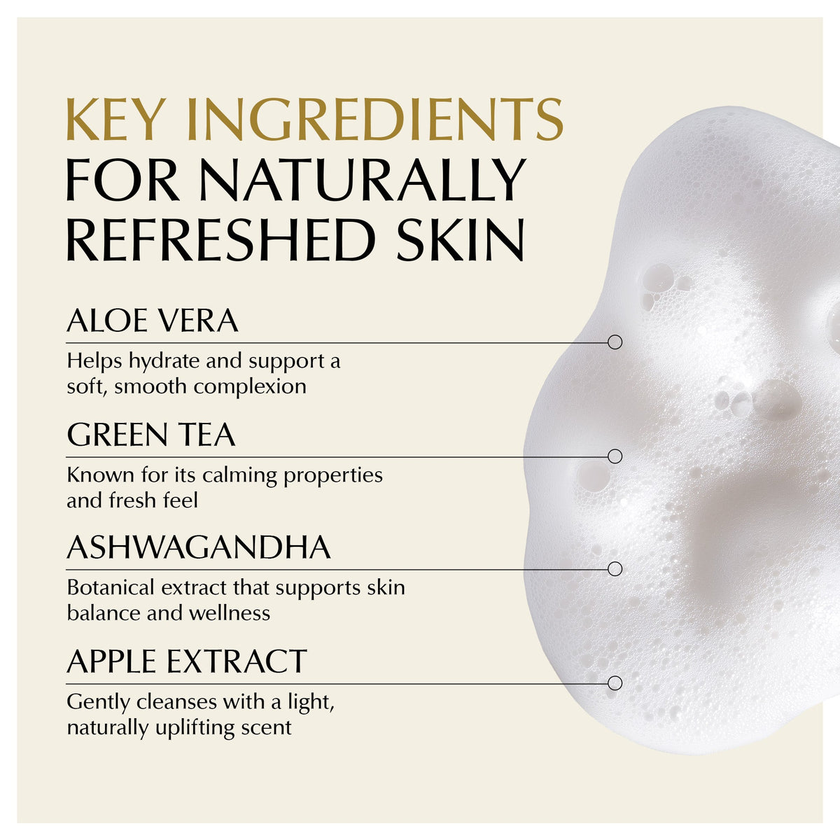 EpiLynx Oil-Free Foaming Face Wash